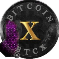 BTCX|BitcoinX